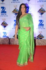 Meghana Naidu at Zee Rishtey Awards in Mumbai on 21st Nov 2015